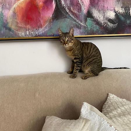Bilingual Home เบโลโอรีซอนชี ภายนอก รูปภาพ